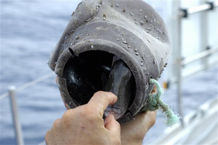 In this Feb. 3, 2010 photo released by 5 Gyres, researcher Marcus Eriksen checks a plastic bucket with a trigger fish trapped inside after finding it floating in the Sargasso Sea, north Atlantic ocean. Researchers are warning of a new blight on the North Atlantic ocean: A swirl of confetti-like plastic bits, bottle caps and other refuse stretching for thousands of square miles. (AP Photo/Marjolijn Dijkman, 5 Gyres)